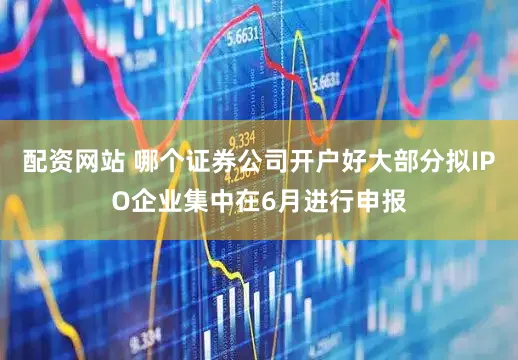 配资网站 哪个证券公司开户好大部分拟IPO企业集中在6月进行申报