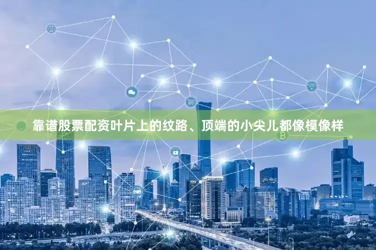 靠谱股票配资叶片上的纹路、顶端的小尖儿都像模像样