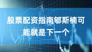 股票配资指南郇斯楠可能就是下一个