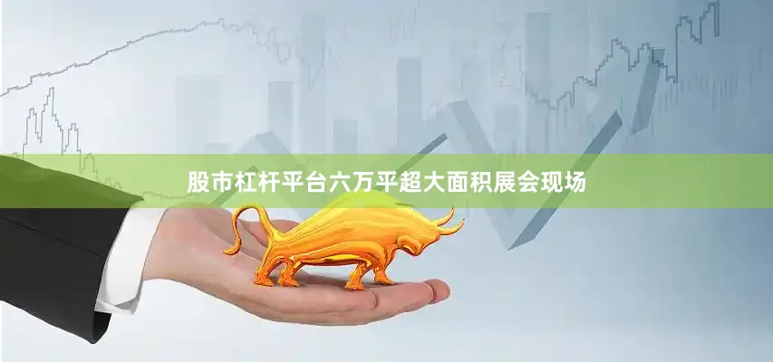 股市杠杆平台六万平超大面积展会现场