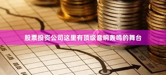 股票投资公司这里有顶级音响轰鸣的舞台