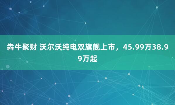 犇牛聚财 沃尔沃纯电双旗舰上市，45.99万38.99万起