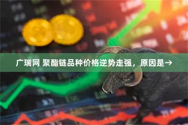 广瑞网 聚酯链品种价格逆势走强，原因是→